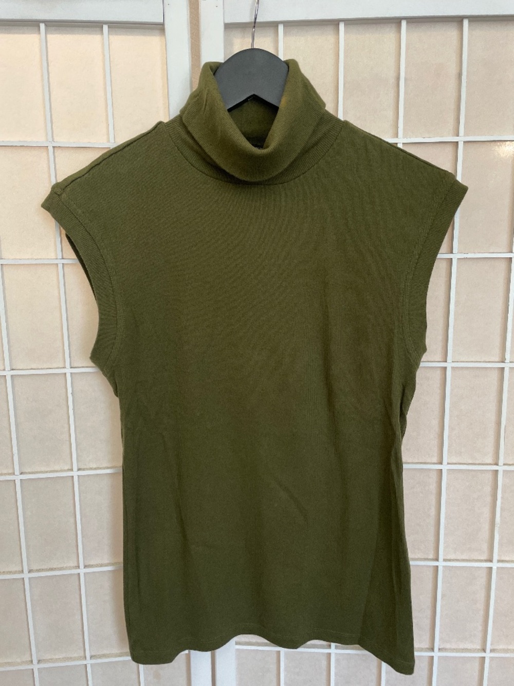 Banana Republic light sleeveless sweater turtle neck Green Small